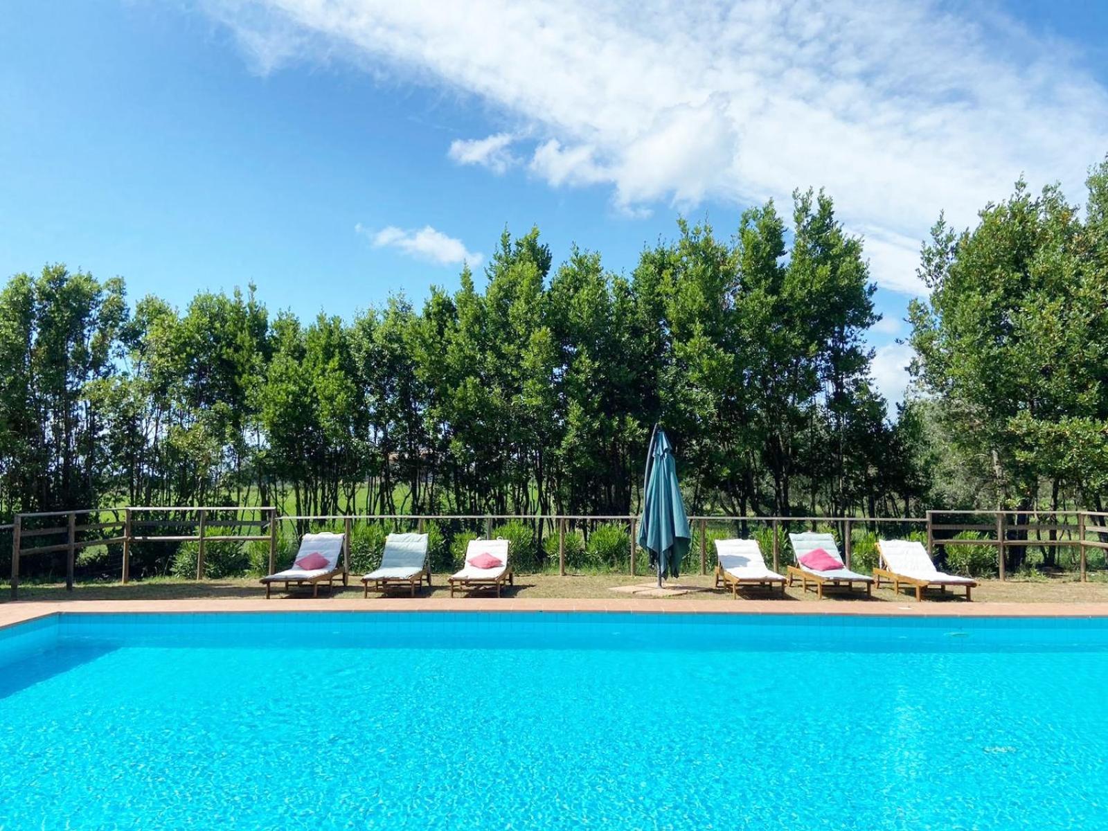 Relais Casale Il Poggetto - Olivo 1 By Zoom In Earth Apartment Cecina  Luaran gambar